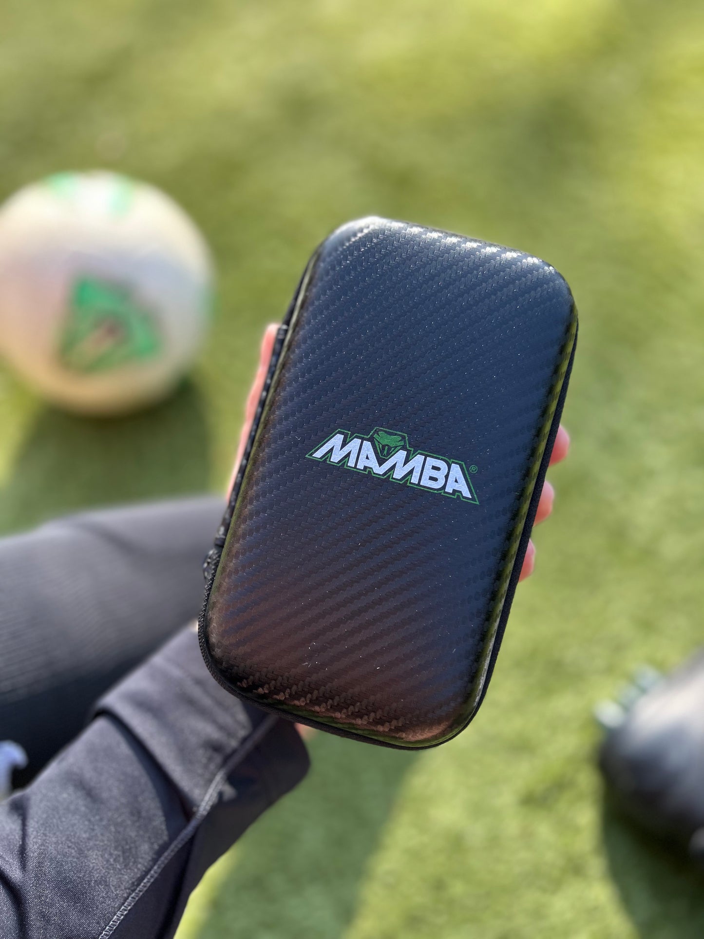 Carbon Fibre Pro Guards